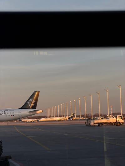 The scene depicts an airport apron at Munich Airport (MUC) in Freising, Germany, likely during sunrise or sunset, viewed through a window with a dark, blurred horizontal obstruction at the top and reflections on the glass.
In the foreground, dark concrete pavement with yellow and white markings is visible. A dark, indistinct mechanical object is partially cropped at the bottom left.
In the midground, to the left, the tail section and rear fuselage of a white commercial aircraft (registration D-AIZN, with a German flag below) are prominent. The tail is dark with a gold, stylized multi-pointed star logo. Extending diagonally from the mid-left to the mid-right is a uniform line of approximately twenty tall, slender light poles, each topped with multiple luminaires, receding into the distance. Several other commercial aircraft are parked behind these poles, including one with a distinct yellow-green stripe along its fuselage. To the right, a white fuel or service truck, marked "TTO4" and "M", is stationary on the apron.
The background features a clear sky, transitioning from a pale blue at the top to a warm, light orange-yellow hue near the horizon. Faint outlines of distant structures are visible on the horizon. A small, bright object is present in the sky above the line of light poles.
The lighting indicates a low sun angle from the right, illuminating surfaces facing it and creating elongated shadows. No discernible human figures are present.