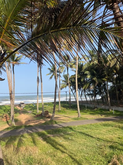 This image depicts a tropical beach scene with numerous palm trees framing the view of the ocean. The foreground is dominated by lush green grass and a paved pathway. In the mid-ground, a sandy area leads to the beach, where a boat and what appears to be a kayak are resting. Waves are breaking on the shore, and the ocean stretches out to the horizon under a clear blue sky. A white picket fence runs along the edge of the property, separating it from the trees. The location is identified as Katukurunda, Sri Lanka. There are no people visible in the image.