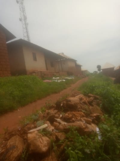 This is a slightly hazy, medium-angle outdoor shot of a dirt path winding through a village in Mayo Ndaga, Nigeria. On the left side of the path, there are several buildings with light-colored walls and dark roofs. Some of these buildings appear to be made of mud or clay, with a brick structure visible on the far left. A prominent telecommunications tower, a lattice structure with antennas, stands tall against the overcast sky in the background.
To the right of the path, the ground is covered in lush green grass, with some rocky outcrops and scattered debris, including white plastic. The path itself is made of reddish-brown dirt, suggesting recent rain. The overall scene depicts a rural village setting, likely in the daytime given the ambient light, though the overcast sky makes it difficult to determine the exact time. The weather appears to be cloudy or foggy. There is no visible text in the image. The image captures a sense of everyday village life, with the infrastructure of a modern tower juxtaposed against traditional housing and natural elements.