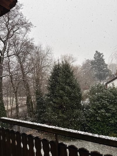 The image depicts an outdoor winter scene during active snowfall in Kirchzarten, Germany. The perspective is from an elevated vantage point, likely a balcony, with a wooden railing partially covered in a thin layer of snow spanning the lower portion of the frame. The railing exhibits a carved, scalloped design. Above the railing, a diverse array of trees fills the midground and background. Bare deciduous trees with visible branches and minor snow accumulation are present on the left. Several large, dark green coniferous trees, possibly fir or spruce, stand prominently in the center and right, their needles dusted with falling snow. Beyond the trees, a lighter, more open landscape is visible. In the far right background, a residential structure with a white facade and a section of a reddish-brown roof is partially obscured by vegetation. Numerous individual snowflakes are discernible throughout the entire frame against a uniformly light, overcast sky. No people or animals are present.