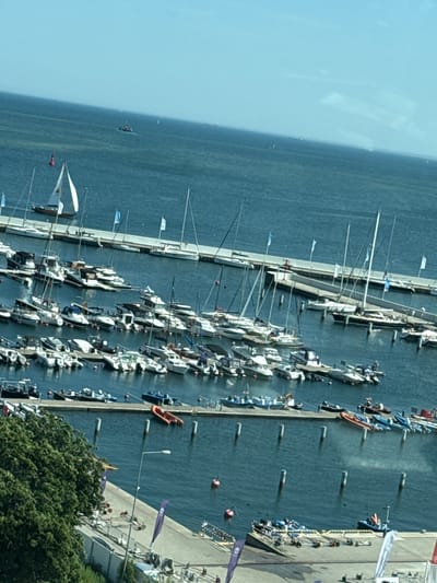 This is an aerial photograph taken on a clear, sunny day, likely in the afternoon, depicting a marina in Gdynia, Poland. The scene is dominated by a large number of sailboats and motorboats docked along a pier and in the water. The boats are primarily white with some featuring blue accents. Many of the sailboats have their masts raised, suggesting they are either ready for sailing or have recently returned.

The marina is bustling with activity. People can be seen on the boats, on the pier, and along the waterfront. Some individuals are standing, some are seated, and others appear to be engaged in tasks related to boat maintenance or preparation. The presence of numerous boats and people indicates a lively event or a popular recreational area.

Notable details include several flags flying, some bearing blue and white patterns, and others a solid purple color. There are also several buoys in the water. The water itself is a deep blue, reflecting the clear sky. On the right side of the image, a treed area and a concrete walkway are visible, with more people gathered there. The overall impression is one of a vibrant maritime atmosphere. There is no visible text in the image.