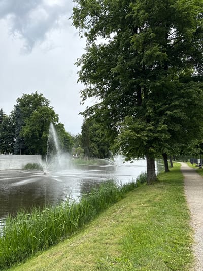 The image depicts a tranquil park scene in Biržai, Lithuania. The main focus is a large body of water with several fountains actively spraying water into the air, creating a dynamic visual element. The water's surface is rippled by the fountains and reflects the overcast sky. Along the edge of the water, lush green grass and reeds grow, adding a natural touch to the environment. To the right of the water, a gravel pathway meanders through the park, bordered by trees. The trees are predominantly deciduous, with full, green canopies. In the background, more trees are visible, creating a dense woodland effect. A white, modern-looking wall separates the water from some of the greenery on the left side of the image. The overall atmosphere is serene and suggests a public space designed for relaxation and enjoyment of nature.