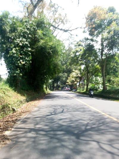 The image shows a paved road in Nawng Hkar, Myanmar, flanked by dense green trees. A yellow line runs along the right side of the road. Shadows of trees fall across the asphalt. A motorbike is visible on the right side of the road in the distance. Other vehicles are farther ahead.
