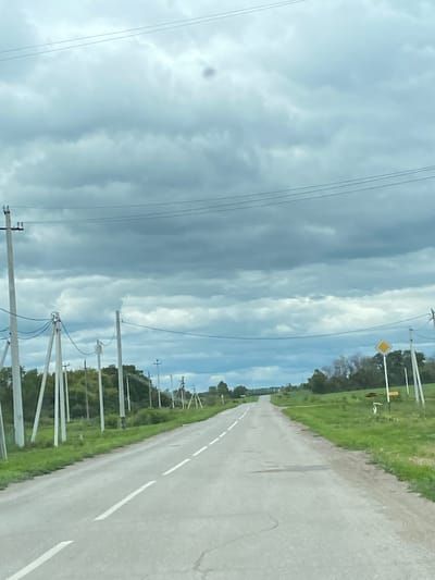 The image shows a rural road in Nadezhdino, Russia, under a cloudy sky. The road is paved and has white dashed lines marking the lanes. On either side of the road, there are grassy fields with scattered trees and utility poles. A yellow diamond-shaped road sign is visible on the right side of the road. The scene appears to be deserted, with no people or vehicles visible. The overall atmosphere is overcast and quiet.
