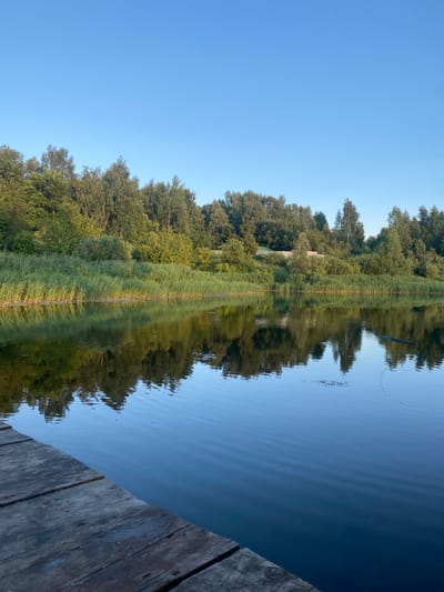 The image captures a serene natural scene at a body of water, likely a canal or river, in Afanasyevo, Russia. The orientation of the image is rotated 90 degrees counter-clockwise. In the foreground, weathered wooden planks of a dock extend into the frame from the right, suggesting a man-made structure interacting with the natural environment.
The main subject is the tranquil water surface, which acts as a mirror, reflecting the lush green trees and tall grass lining its bank. The reflection is nearly perfect, creating a symmetrical visual effect. A thin, vertical line of lighter green, possibly a fence or a narrow path, is visible down the center of the reflection, accentuating the symmetry. The sky above is a clear, bright blue, indicating it is daytime, likely morning or late afternoon given the soft light. There are no visible people or animals, contributing to the peaceful and solitary atmosphere of the scene. The overall mood is calm and contemplative. The image is devoid of any visible text.