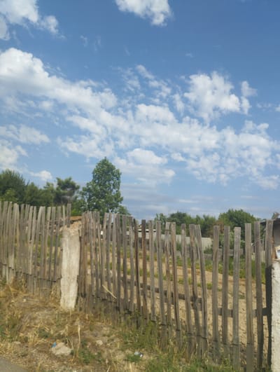The image captures a sun-drenched scene with a clear blue sky dotted with fluffy white clouds, indicative of a fair weather day. In the foreground, a weathered wooden fence made of vertical planks stretches across the frame. Some planks are worn and slightly askew, suggesting age and exposure to the elements. A rough concrete post stands prominently within the fence line. Behind the fence, the ground appears to be dry and somewhat barren, with patches of sparse vegetation and straw-like grass. Beyond this, a dense line of green trees forms a natural backdrop, with a particularly large, lush tree dominating the right side of the tree line. The overall impression is of a rural or semi-rural setting, possibly on the outskirts of the city of Kyzyltog (Krasnogorsk), Uzbekistan, given the context. There are no people visible in the image.