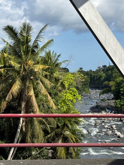 A close-up, eye-level shot captures a tropical river scene in Klungkung, Indonesia, viewed from what appears to be a bridge. In the foreground, two weathered red metal railings stretch horizontally across the frame, slightly obscuring the view. To the left, a tall palm tree dominates the composition, its fronds reaching towards the sky. Behind the palm tree, a dense wall of lush green foliage and trees lines the banks of a fast-flowing river. The river itself is a mosaic of swirling white water and dark, smooth stones. The far bank of the river is also covered in thick vegetation, with a few taller trees visible. The sky above is a mix of blue sky and dramatic white clouds. A large, angular concrete structure, part of the bridge's architecture, juts diagonally into the upper right corner of the image. The overall impression is one of natural beauty and tropical abundance, with the man-made elements of the bridge providing a framing perspective.