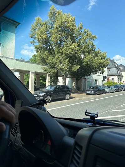 The image shows a view from inside a vehicle looking out onto a street in Giessen, Germany. The scene is dominated by a large, leafy green tree on the left, with its branches reaching towards a bright blue sky with some scattered white clouds. Several cars are parked along the side of the road, including a black SUV and a dark sedan. Buildings line the street, with architectural details suggesting a European urban setting. The image appears to be taken during the daytime, under fair weather conditions. The perspective suggests the vehicle is moving or parked on the street, with the driver's hand visible on the steering wheel or dashboard in the foreground. One of the cars has a license plate with German characters.