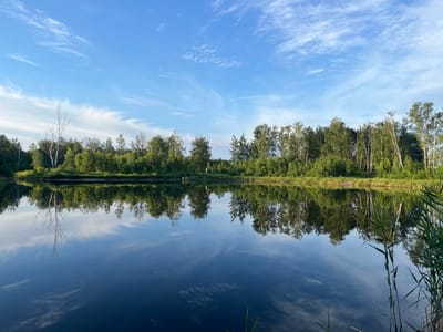 The image depicts a tranquil natural scene with a calm body of water in the foreground, reflecting a clear blue sky with wispy clouds and a dense line of lush green trees along the opposite bank. The treeline is composed of a mix of deciduous trees, including birch trees with their distinctive white bark, and other various green foliage. The water's surface is smooth, creating a near-perfect mirror image of the sky and the vegetation. Reeds and tall grasses are visible on the right edge of the water, adding texture to the foreground. The overall impression is one of serene natural beauty, likely captured in the early morning or late afternoon given the quality of the light. The location is identified as Chyrkavichy rural council, Belarus. There are no people or explicit human activity visible in the image.