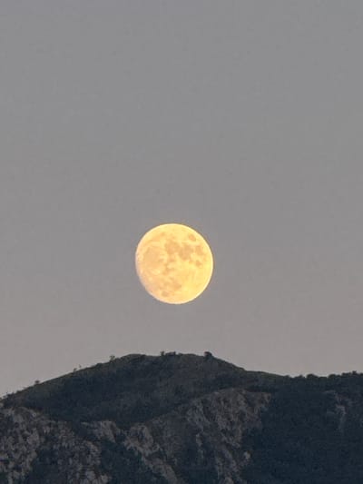 The image shows a full moon rising over the mountainous landscape near Trap, Montenegro. The moon is bright yellow and appears to be textured with craters. The mountains in the foreground are dark and rugged, with sparse vegetation on their peaks. The sky is a pale gray, suggesting either dawn or dusk. There are no people or artificial structures visible in the frame.