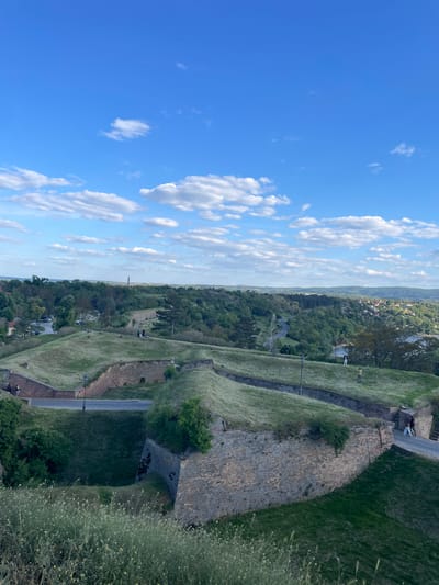 This image, presented as if correctly oriented, captures a panoramic outdoor scene overlooking the historical landscape of Petrovaradin, Serbia, likely from the Petrovaradin Fortress.
The sky occupies a significant portion of the upper frame, a vibrant and clear blue adorned with scattered, fluffy white cumulus clouds. The bright illumination indicates it is daytime, likely mid-morning or early afternoon, with sunny weather prevailing.
In the foreground and midground, the scene is dominated by robust stone walls and earthen ramparts characteristic of a large fortification. These walls are constructed from light brown and grey bricks, partially covered with lush green grass on their slopes. Winding asphalt roads and narrower dirt paths traverse the terrain, running alongside and over these ancient structures. Scattered bushes and taller green plants with small white blossoms grow along the fortifications and grassy areas. Several small, indistinct human figures can be seen on these paths and near the walls, suggesting visitors exploring the site.
The background extends into a sprawling vista. A verdant valley is filled with a dense cover of green trees, within which segments of a town or city are visible, featuring numerous buildings and houses. A winding road can also be seen snaking through the wooded area. In the far distance, a wide, calm body of water, presumably the Danube River, is discernible, bordered by distant, hazy hills or mountains. A tall, slender tower or mast stands prominently against the horizon in the middle distance.
The overall impression is one of a vast, historical landscape bathed in clear daylight, offering a blend of ancient architecture and natural beauty. No discernible text is visible within the image.