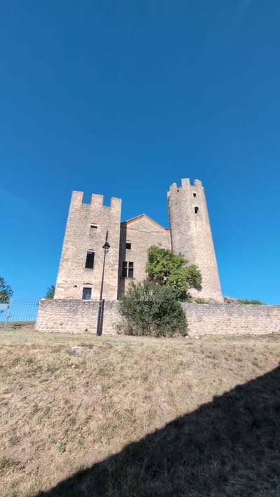 The image captures a low-angle view of the Château de Chambles, a medieval castle situated on a hill in Chambles, France. The castle is constructed of stone and features two prominent towers, one round and one rectangular, both with crenellations. The larger, rectangular tower on the left is angled slightly, while the round tower on the right leans significantly. Several windows are visible in the towers and the connecting building, some of which are dark or appear to be broken. A single black lamppost stands in front of the rectangular tower. Lush green trees and bushes are growing around the base of the castle. The castle is perched atop a grassy slope, with dry, yellow grass covering the foreground. A shadow cast by an unseen object falls across the lower right portion of the image. The sky above is a clear, vibrant blue, indicating a sunny day. A metal fence runs along the left side of the hill.