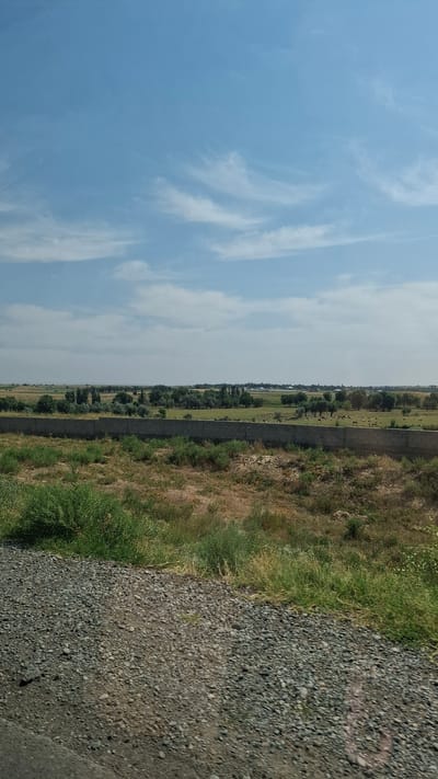 An open, flat landscape under a pale blue sky with wispy white clouds is captured from a low vantage point. In the foreground, a gravelly path transitions into a field of dry, yellowing grass with patches of green vegetation. A low, grey concrete block wall runs horizontally across the middle ground, separating the foreground from a green field beyond. This field is dotted with trees and in the distance, several dark figures, possibly livestock, are visible. Further in the distance, a treeline marks the horizon, with the faint outlines of buildings and structures suggesting a settlement. The overall impression is one of a rural or semi-rural setting.
