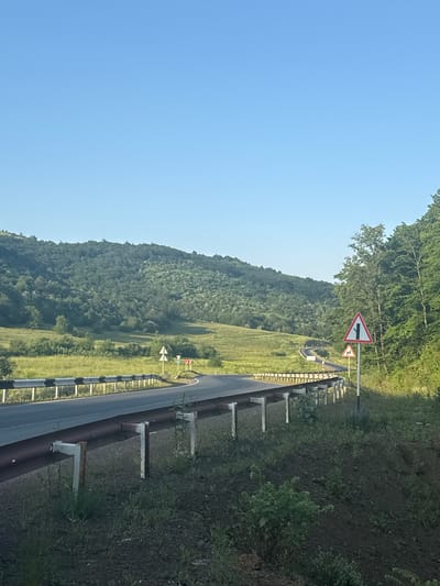 This image depicts a scenic view of a winding asphalt road in the vicinity of Shurnukh, Armenia. The road is bordered by a metal guardrail with reflective black and white markings. In the foreground, the road curves to the left, with a grassy embankment on the right. Several road signs are visible: a triangular sign with a red border and a black depiction of a fork in the road, and another triangular sign below it with a red border and a black symbol resembling the letter 'N'. Further along the road, additional signs, including a circular blue sign with a white arrow and a circular white sign with red horizontal lines, are visible in the distance.

The landscape is characterized by rolling green hills covered in dense forestation, with a clear blue sky overhead. The sunlight suggests it is daytime, likely morning or late afternoon given the soft lighting. There are no people or vehicles visible in the immediate frame, lending a sense of tranquility to the scene. The overall environment appears rural and natural, with the road providing a pathway through the verdant terrain.