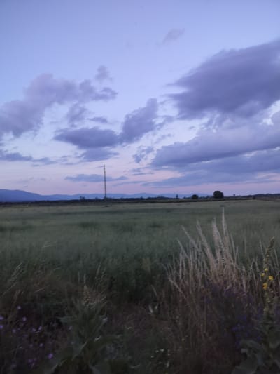 This media file captures a serene, rural landscape at dusk in Manolovo, Bulgaria. The primary subjects are an expansive green field, stretching towards a distant horizon, and a dramatic sky filled with heavy, textured clouds. In the foreground, tall grasses and some wildflowers add a touch of natural detail to the scene.

The setting is agricultural, likely a farm field, with a lone utility pole and power lines visible in the mid-ground, suggesting the proximity of a rural community or infrastructure. In the distance, a line of low mountains or hills forms a soft silhouette against the twilight sky. The overall impression is one of peacefulness and the quiet beauty of nature at the end of the day.

The time of day is clearly twilight, indicated by the soft, diffused light and the colors in the sky. The sky transitions from a pale lavender and pink near the horizon to a deeper, bruised purple and grey where the clouds are thickest. This suggests a partly cloudy sky, with the clouds diffusing the last rays of sunlight. The weather appears calm, with no strong winds suggested by the vegetation.

There is no text visible in the image. The mood is contemplative and tranquil, evoked by the subdued colors, the vastness of the field, and the gathering dusk.