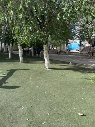 A bright, sunny day is depicted in this outdoor scene. In the background, a bright blue van is parked next to a building. To the left of the van, a person is seen riding a yellow scooter on a paved walkway. Several trees with white bark and green leaves are scattered throughout the image, casting shadows on the green, textured ground. In the mid-ground, a person wearing a blue shirt is sitting at a picnic table under a tree. Further to the left, a group of people are also seated at picnic tables. The ground cover appears to be artificial turf, with some fallen leaves scattered on it. The overall setting suggests a park or recreational area on a clear day.