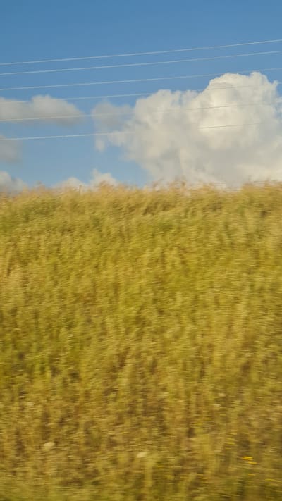 A blurred, horizontally-oriented image depicts a rural scene. On the left, a bright blue sky with white clouds is bisected by parallel, vertical utility lines. To the right, a dense field of tall, golden grass stretches across the frame. The blurry nature of the image suggests motion or a moving viewpoint. Without additional information, it's difficult to pinpoint the exact location within the Bnei Shimon Regional Council, Israel. However, the presence of a grassy field and utility lines suggests an agricultural or semi-rural environment.