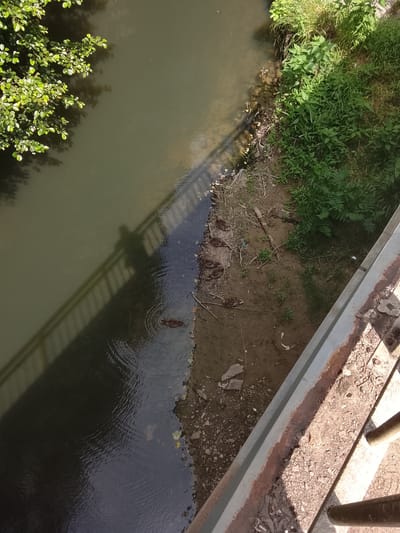 The image shows a top-down view of a narrow river or canal, possibly in the city of Oryol-Izumrud, Russia. On the left side of the water, lush green foliage hangs over the bank. The water itself is murky and reflects the shadow of a bridge, which casts a diagonal line across the surface. A single duck is visible swimming in the water, creating ripples around it.

On the right bank of the water, there is a dirt and debris-covered area. Several ducks are resting on this bank, appearing to be preening or sleeping. Beyond the bank, there is dense green vegetation, and further to the right, part of a concrete and metal structure, likely a bridge or walkway, is visible. The ground is covered in dirt, small stones, and scattered pieces of debris, including some white plastic. The overall scene suggests a natural or semi-natural area within an urban environment.