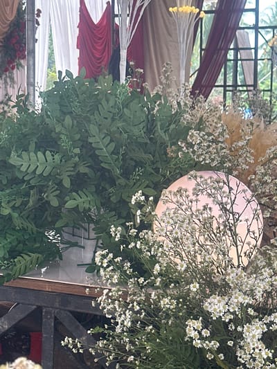 In Aluebilirayeuk, Indonesia, a wedding ceremony is depicted, with vibrant red and white drapes adorning the backdrop. In the foreground, lush green foliage and delicate white flowers are arranged in abundance, creating a festive and natural ambiance. A soft, pinkish light emanates from a circular object, casting a warm glow on the surrounding flora. The scene is illuminated by natural light filtering through a window with dark frames.