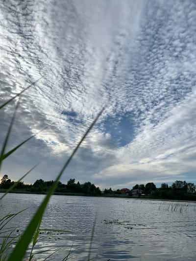 This media file depicts a serene waterscape with a dramatic sky. The scene is a natural outdoor setting, likely a lake or riverbank, in Chernovo, Russia. The time of day appears to be late afternoon or early evening, with the sun low in the sky, casting soft light and long shadows. The weather is cloudy, but with breaks in the clouds revealing patches of blue sky. The clouds themselves are a prominent feature, with a textured, rippled pattern creating visual interest against the expanse of the sky.

The foreground is partially obscured by blades of grass, suggesting the viewpoint is from the edge of the water, close to the vegetation. The water itself is calm, reflecting the sky and surrounding trees with a shimmering quality. Along the distant shoreline, a line of dense green trees forms a natural backdrop, broken by a few houses with red roofs, hinting at a nearby settlement or village. The overall mood is peaceful and tranquil, evoking a sense of natural beauty and quietude. There is no visible text in the image.