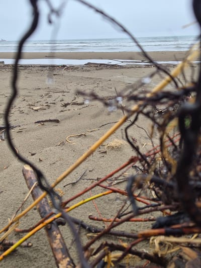 The image shows a beach scene with the ocean and a sandy shore in the background. In the foreground, there are several blurred branches and sticks, some of which are wet and dark, suggesting they may have washed ashore. The sand is damp and littered with small pieces of debris. The ocean appears calm with small waves. A distant red ship is visible on the horizon. The sky is overcast. The specific location in Uglegorsk, Russia, is not discernible from the image itself, as it is a generic beach landscape.