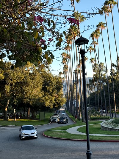 The image captures a street scene in Glendale, California, USA, lined with tall palm trees. In the foreground, a white sedan is driving on a curved asphalt road, its headlights illuminated. To the left of the road, a large, mature tree with green and yellowing leaves and some purple flowers is partially visible, along with a sidewalk and a grassy area where several people are gathered, some sitting on blankets or chairs. A dark lamppost stands prominently on the right side of the frame. In the background, a procession of palm trees stretches into the distance, bordering the road and a landscaped area with a curved walkway. Other vehicles are visible further down the road, and a mountain range can be seen in the hazy background. The sky is clear and blue, indicating daylight.