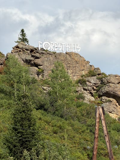 A wide shot captures a rocky mountainside with the large white letters spelling "THE FOREST HILLS" atop it. The sky is mostly overcast with white clouds. Below the rock formation, dense green foliage and trees cover the landscape, obscuring much of the lower mountain. In the foreground, to the right, a wooden utility pole with crossbars supports wires. To the left, several more wires stretch across the frame. The environment appears natural and wild, suggesting a location outside of dense urban development. The location is identified as Tarhanka rural district, Kazakhstan.