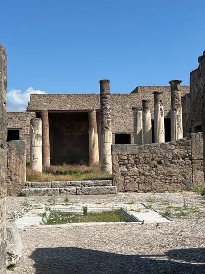 The image shows the ruins of an ancient Roman building, likely a villa, in Pompeii, Italy. The structure is made of stone and brick, with weathered columns and walls. In the foreground, there is a gravel pathway with scattered white wildflowers. Behind it, a raised area with a shallow pool and more greenery. The background features more stone walls and pillars, suggesting a courtyard or interior space. The sky is a clear blue with a few wispy clouds. There are no people visible in the image, but two small birds are present near the pool in the foreground. The scene is indicative of well-preserved ancient ruins, typical of Pompeii.
