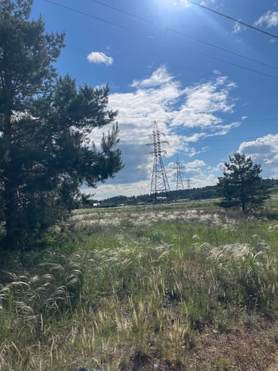 The image displays an outdoor, sunlit landscape located in the city of Vasilevka, Russia. The upper portion features a bright blue sky with scattered white cumulus clouds and a distinct sun flare originating from the upper right. Multiple dark power lines are visible, spanning horizontally and diagonally across the sky.

The mid-ground and foreground are occupied by a field of green grass, extensively covered with light-colored, wispy feather grass (Stipa species) that appears silvery-white, particularly in sunlit patches. The ground is uneven, with some darker, exposed earth visible in the lower right.

A large, dark green conifer tree (pine) occupies the left side of the frame, with its foliage extending into the mid-ground. A smaller, distinct conifer tree stands in the right mid-ground.

Several large, metal lattice-style electricity pylons are visible across the field, with the closest and most prominent pylon located in the left-center, supporting multiple power lines. Additional pylons recede into the distance. Beyond the field and a distant treeline, a cluster of residential buildings with visible roofs indicates a populated area. No individuals or animals are present in the scene.