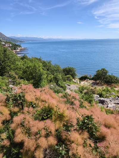 The image depicts a scenic coastal view with lush green vegetation in the foreground and midground, leading to a tranquil blue sea under a bright sky with scattered clouds. In the distance, mountains form a hazy backdrop. The scene is characterized by natural beauty, with a focus on the interplay of land, sea, and sky. The presence of a few scattered buildings and piers along the coastline suggests a human presence in the form of a settlement or resort area, but no people are visible in the frame. The overall impression is one of a peaceful, idyllic setting. The image is a landscape captured from an elevated viewpoint, looking out over the sea towards the horizon.
