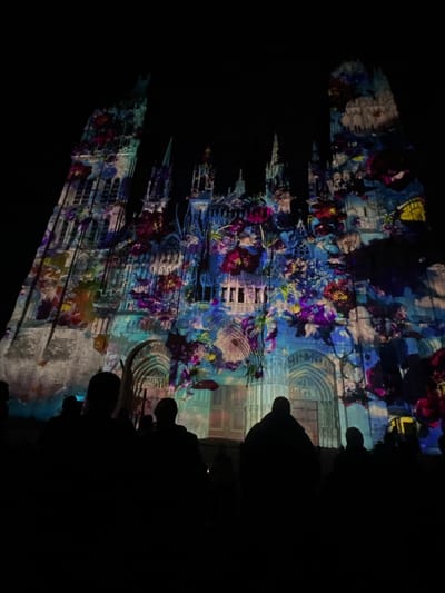 The image depicts the facade of Rouen Cathedral (Cathédrale Notre-Dame de Rouen) in Rouen, France, at night. The cathedral's Gothic architecture is extensively covered by a vibrant, multi-colored light projection. The projection displays dynamic floral and abstract patterns in shades of blue, purple, red, yellow, and green, illuminating the stone carvings, windows, and spires. The sky above is entirely dark, providing a stark contrast to the illuminated structure. In the foreground, several human figures are visible as dark silhouettes, positioned with their backs to the viewer and facing the cathedral. These figures appear to be spectators observing the light show, with their individual features obscured by shadow. The overall scene captures a public light projection event transforming the historical monument.