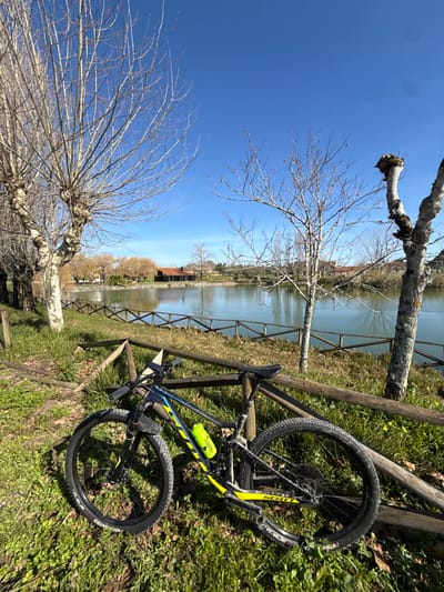 An outdoor scene in Cantanhede, Portugal, depicts a tranquil lake environment under a clear blue sky. In the foreground, a dark blue and yellow Scott full-suspension mountain bike with a bright yellow water bottle rests on its side, leaning against a rustic wooden log fence. The bike is positioned on a grassy bank with scattered dried leaves. Beyond the fence, a calm lake reflects the sky and distant elements. On the far side of the lake, several buildings with reddish-brown tiled roofs are visible amidst a mix of deciduous trees, many bare of leaves, and some evergreen foliage. Numerous bare-branched deciduous trees, some with gnarled trunks, line the left side and extend into the midground. The scene is brightly lit by natural sunlight, casting distinct shadows. No people are present.