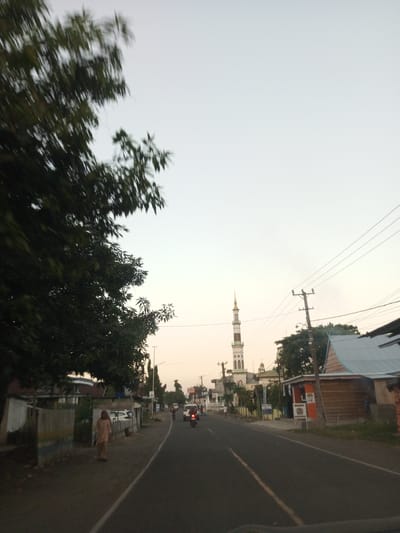 The image depicts a street scene in Pallawarukka, Indonesia, during what appears to be late afternoon or early evening, given the soft, diffused light. A paved road runs through the center, bordered by a sidewalk on the right and a rougher, unpaved area on the left.
On the left side of the road, a large tree with dark green foliage dominates the foreground, its branches extending towards the top of the frame. Behind the tree, there are several low-lying structures with visible wooden and metal siding, some appearing to be small shops or dwellings. A person, possibly a woman wearing a light-colored headscarf and long garment, is walking on the unpaved area near these structures.
On the right side of the road, there are more buildings, including a structure with a blue and light brown roof and wooden walls. Electrical wires are strung across the scene, supported by utility poles. In the background, a tall, white minaret with gold accents rises above other buildings, indicating the presence of a mosque. Further down the street, other vehicles, including motorcycles and cars, are visible, suggesting ongoing traffic. The sky is a pale, hazy light blue, typical of a sunset or sunrise. The overall impression is of a quiet, lived-in street in a rural or semi-urban Indonesian setting.