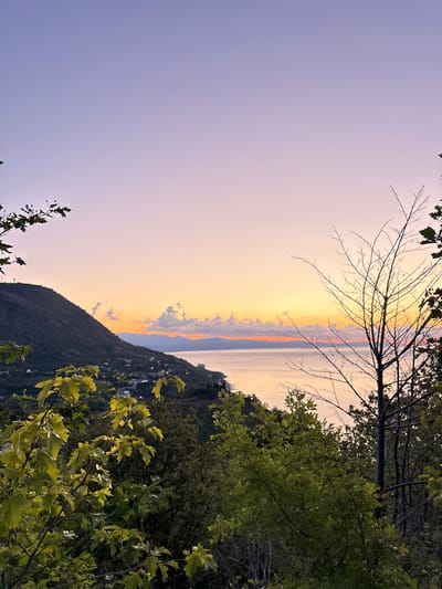 The image is a landscape photograph taken at sunset from a high vantage point overlooking the Black Sea coast near Lazurnoe, Ukraine. The sky exhibits a gradient of colors, transitioning from a soft lavender at the top to warm hues of orange and yellow near the horizon. A thin band of clouds is visible along the horizon, catching the last light of the sun.
In the mid-ground, a dark, mountainous silhouette of the coastline is visible, dotted with the lights of a settlement nestled on its slopes. The lights suggest a small town or village. The sea below is calm, reflecting the colors of the sky.
The foreground is dominated by lush green foliage, including trees with vibrant leaves and bare branches of a deciduous tree. These elements frame the view of the distant landscape and the sea. The overall scene conveys a serene and picturesque evening ambiance.