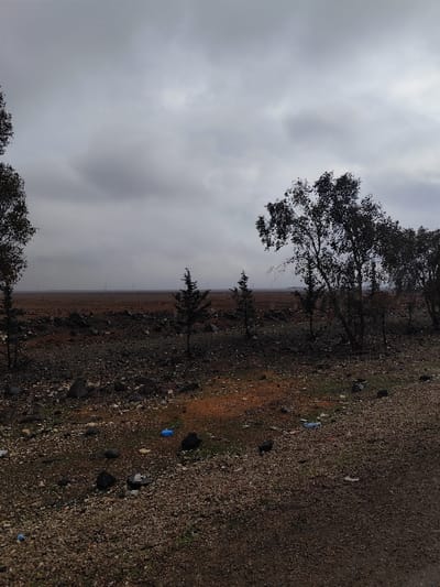 The image depicts an open, rocky landscape under an overcast sky in Mankat al-Hatab, Syria. The ground consists primarily of reddish-brown soil mixed with dark gravel and scattered rocks. Sparse green vegetation is present in patches, and several pieces of blue plastic debris, likely bottles, are visible on the ground in the foreground.
On the left side, a tall, slender deciduous tree stands partially cropped. In the middle ground, three smaller, dark coniferous trees are spaced out across the terrain. To the right, a cluster of larger deciduous trees with dark, dense foliage forms a prominent feature.
The distant horizon is flat, with indistinct vertical structures, possibly wind turbines, partially visible through atmospheric haze or distance. The scene is devoid of people, animals, or apparent human activity, conveying a desolate and natural environment under diffused, dull lighting.