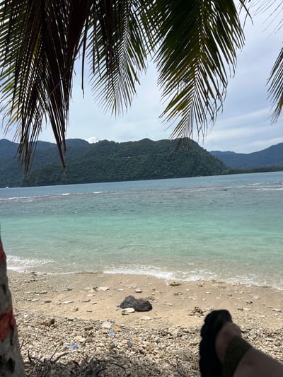 A beach scene is depicted with palm fronds in the foreground, obscuring the top portion of the image. The beach is covered in small white stones and scattered larger rocks. The water is a clear turquoise color, with gentle waves lapping at the shore. In the distance, lush green, tree-covered mountains rise from the sea. The sky is overcast with some patches of blue. A person's feet, wearing dark sandals, are visible in the lower right corner of the image. The location is specified as Pasi, Indonesia.