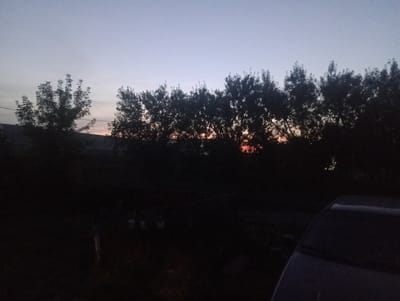 The image depicts a twilight scene in Atbasar, Kazakhstan, with a faint orange glow on the horizon, suggesting either sunrise or sunset. Silhouetted trees form a dense line across the midground. In the foreground, the dark shape of a vehicle is visible on the right side of the frame. The overall environment appears to be an outdoor area, possibly a yard or a street, characterized by low light conditions and vegetation.