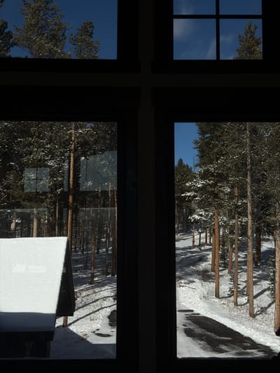 The image shows a view through a window of a snow-covered landscape, featuring tall pine trees. The scene is divided into panes, with clear blue sky and treetops visible in some, and the wintery forest scene in others. A structure or object covered in snow is visible in the bottom right pane, partially obstructing the view. The window frame itself is dark, creating a contrast with the bright outdoor scene.