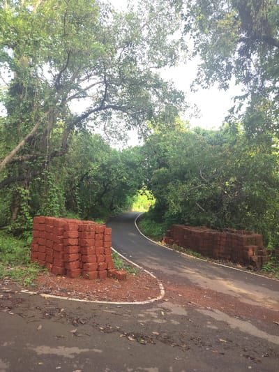 This media file depicts a road curving through a lush, green environment. The scene is dominated by dense foliage and trees, with sunlight filtering through the canopy, suggesting it is daytime. On the left side of the road, a stack of red bricks is piled high. Another similar stack of bricks is visible on the right side of the road. The road itself appears to be paved and is marked with a white line. There is no visible text in the image. The overall impression is one of a natural, somewhat undeveloped setting, possibly in a tropical or subtropical region. The presence of the stacked bricks might indicate construction or landscaping work in progress. The atmosphere appears peaceful and serene.