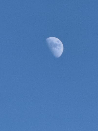 The image shows a daytime view of the moon in a clear, blue sky. The moon is in a gibbous phase, with a little more than half of it illuminated. Its surface is visible, showing craters and darker maria. The sky is a uniform, bright blue, suggesting a sunny day. There are no other celestial bodies or atmospheric phenomena visible. The overall impression is one of a clear, open sky with the moon prominent against it. The image was taken in Mastaga, Azerbaijan. There is no text visible in the image.