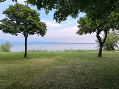 This media file depicts a serene lakeside scene, likely in Sirmione, Italy, under a gentle, hazy sky that suggests either early morning or late afternoon. Two large trees, one on the left and one on the right, frame a view of a calm body of water. The tree on the left is fuller and more vibrant green, while the tree on the right is more sparse, revealing its dark trunk and branches.

In the foreground, a well-maintained green lawn slopes gently towards the water. The grass appears to be recently mowed, with some areas showing a slightly drier, lighter hue. Along the edge of the water, a line of reeds or tall grass separates the lawn from the lake. The water itself is a muted blue-gray, reflecting the overcast or hazy sky. In the distance, hazy blue mountains or hills are visible on the horizon, adding depth to the landscape.

The overall impression is one of tranquility and natural beauty. There are no people or explicit man-made objects visible, emphasizing the peaceful, natural setting. The light suggests a soft, diffused illumination, enhancing the calm atmosphere. The presence of a lake and the distant hills are strong cues for a lakeside location, consistent with Sirmione's geography. There is no visible text in the image.