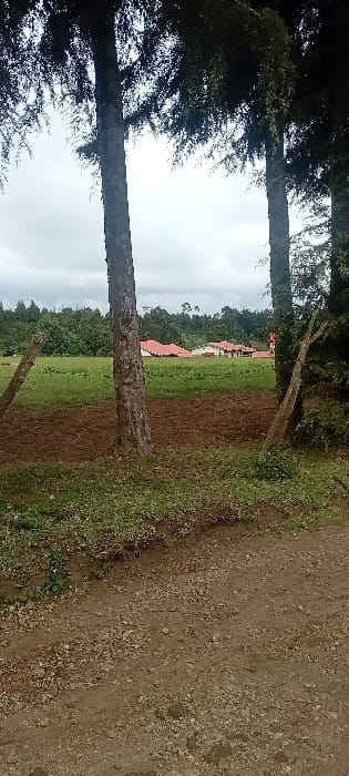 The landscape showcases tall trees framing a distant cluster of buildings with orange roofs, nestled beyond a green field. A dirt path occupies the right foreground, transitioning into vegetation. The sky is overcast, contributing to a subdued, rural scene.