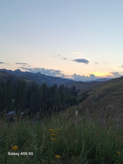 This is a landscape photograph taken at dusk in Itagar, Kyrgyzstan. The image captures a serene mountain scene with a soft, pastel sky transitioning from pale blue to hues of orange and yellow where the sun is setting behind the distant mountains. Wispy clouds are scattered across the sky. The foreground is dominated by tall, green grass and wildflowers, with a few yellow and white blooms visible. The middle ground features a dense cluster of dark green trees forming a line along the base of a rolling, grassy mountainside. The mountains themselves are layered, with each successive range appearing in a darker shade of blue as they recede into the distance. The overall mood is peaceful and tranquil, characteristic of a quiet evening in a natural setting. The photograph appears to be taken from an elevated position, looking down and across the valley.

The visible text in the image reads "Galaxy A56 5G".