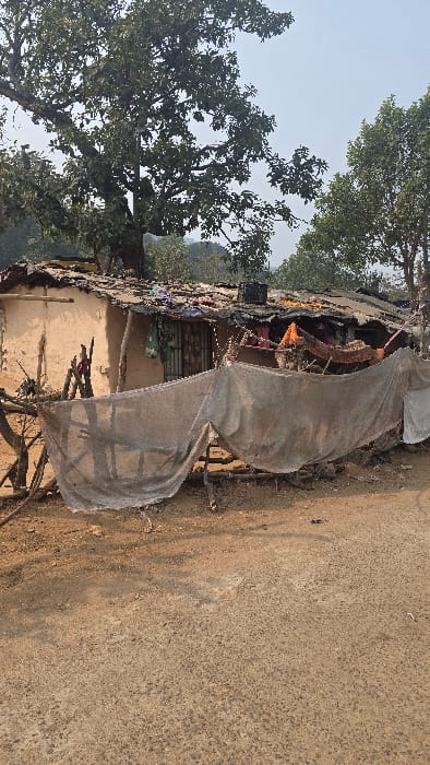 A makeshift dwelling constructed along a paved road is visible. The structure appears to be composed of rudimentary materials, including mud, wood, and a sheet of grey cloth serving as a partial cover. Trees flank the building, contrasting with the clear sky above. The overall scene suggests an impoverished rural environment with basic living conditions.