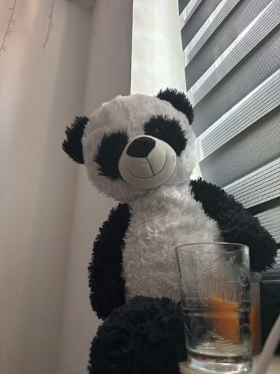 A plush panda toy is lying on a white surface, with its head slightly tilted to the right. Next to the panda, to its right, is a clear glass with some orange-colored liquid and ice cubes inside. The glass has embossed designs on its surface. In the background, a set of horizontal blinds, made of alternating translucent and opaque strips, are visible. The overall lighting suggests an indoor setting, possibly during the daytime given the illumination from the blinds. The image is oriented such that the panda and glass appear to be upside down, with the blinds occupying the top portion of the frame. The scene appears to be set in Wołomin, Poland. No text is clearly visible in the image.