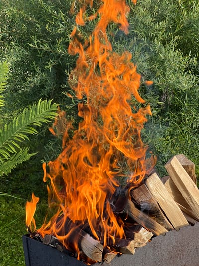 A high-angle, outdoor shot captures a fire burning in a dark, rectangular fire pit. The fire pit is filled with logs of wood, some of which are burning. The flames are a vibrant orange, licking upwards and extending horizontally across the frame. To the left of the fire pit, lush green foliage, including ferns and smaller leafy plants, forms a dense background. The fire appears to be actively burning, producing smoke that drifts upwards and blends with the green foliage. The light suggests it is daytime, possibly late afternoon or early evening, with the sun casting shadows on the wood. The scene is set in a natural, outdoor environment, likely a backyard or park in Zaprudnya, Russia. There is no visible text in the image.
