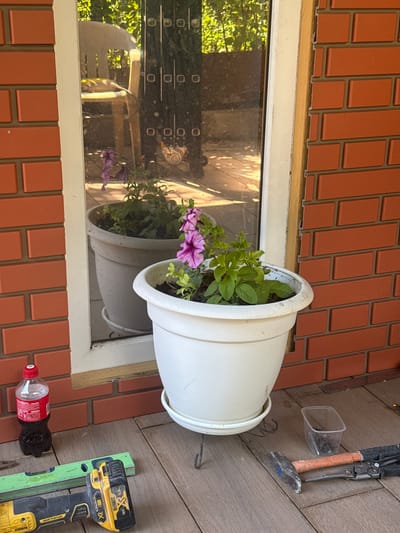 The image depicts an outdoor scene, likely a patio or porch, with elements suggesting ongoing construction or maintenance. A brick wall, painted a reddish-orange hue, forms the background on the right. To the left, a window with a white frame runs vertically, reflecting sunlight and greenery from an outdoor environment. Inside the reflection, a chair is visible, suggesting a residential setting. In the foreground, a white planter contains a flowering plant with pink and purple blossoms.
On the wooden deck in front of the planter, various tools are laid out. These include a bottle of Coca-Cola, a green spirit level, a yellow and black power drill, a hammer with an orange handle, and a pair of pliers. A small clear plastic container holds what appear to be nails or screws. The wooden planks of the deck show signs of wear. The overall impression is a workspace in a residential outdoor area, possibly in Ermakovo, Russia, given the prompt's context, though no specific markers definitively place it there. The lighting suggests it is daytime, with bright sunlight casting shadows.