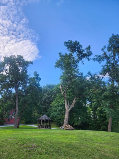 A daytime, eye-level, medium outdoor shot captures a park scene in the Town of Hoosick, United States of America. The sky is bright blue with scattered white clouds. In the foreground, a lush green lawn slopes gently upward. To the left of the lawn, a red building with white trim and stained-glass windows is visible behind a large tree. In the middle ground, a wooden gazebo with a hexagonal roof stands on a paved pathway. To the right of the gazebo, a pile of firewood sits near a lamppost. Tall, mature trees with green foliage dominate the background, creating a dense forest canopy.