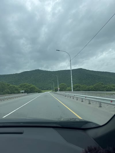 The image shows a view from inside a vehicle driving on a bridge. The road is asphalt with white and yellow lane markings. On the right side of the road, there is a metal guardrail with reflective red markers. On the left side, there is a similar guardrail and then trees. In the background, a large, densely forested hill or mountain rises under a cloudy, gray sky. There are streetlights visible on poles along the bridge. The foreground shows the dashboard and windshield of the vehicle. The scene appears to be on a highway leading into or out of a natural, mountainous area, potentially near Romanovka, Russia, given the context.