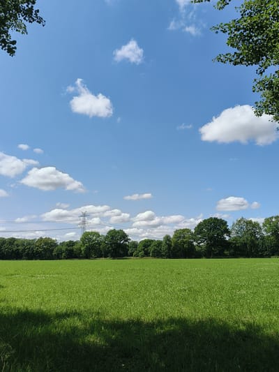 An outdoor, eye-level shot captures a serene landscape under a bright blue sky dotted with fluffy white clouds. In the foreground, a vast expanse of lush green grass stretches across the frame, casting a dark shadow on the lower portion of the image, suggesting the presence of an unseen object or structure to the left.
The middle ground is dominated by a dense line of green trees, forming a natural barrier that separates the grassy field from the sky. Interspersed within this treeline, a tall, skeletal metal pylon stands prominently, indicating the presence of electrical infrastructure. Several power lines stretch horizontally across the scene, connecting to the pylon and disappearing into the distance.
The upper portion of the image is a clear, vibrant blue sky, with scattered cumulus clouds adding texture and depth. Leaves from unseen trees frame the top left and right corners of the photograph, providing a natural border to the expansive view. The scene evokes a sense of tranquility and openness, typical of a rural or semi-rural environment. This type of landscape is common in areas like Henstedt-Ulzburg, Germany, known for its green spaces and natural beauty interspersed with modern infrastructure.